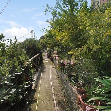Villa Lardarina كورنيجليا المظهر الخارجي الصورة