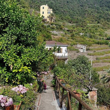 Villa Lardarina كورنيجليا المظهر الخارجي الصورة