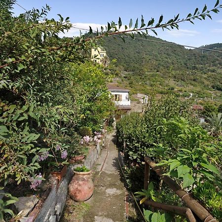 Villa Lardarina كورنيجليا المظهر الخارجي الصورة