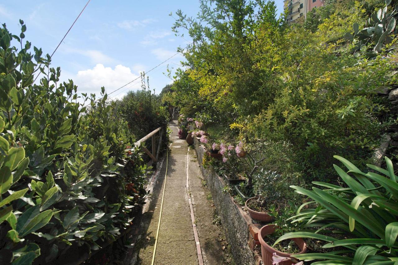 Villa Lardarina كورنيجليا المظهر الخارجي الصورة