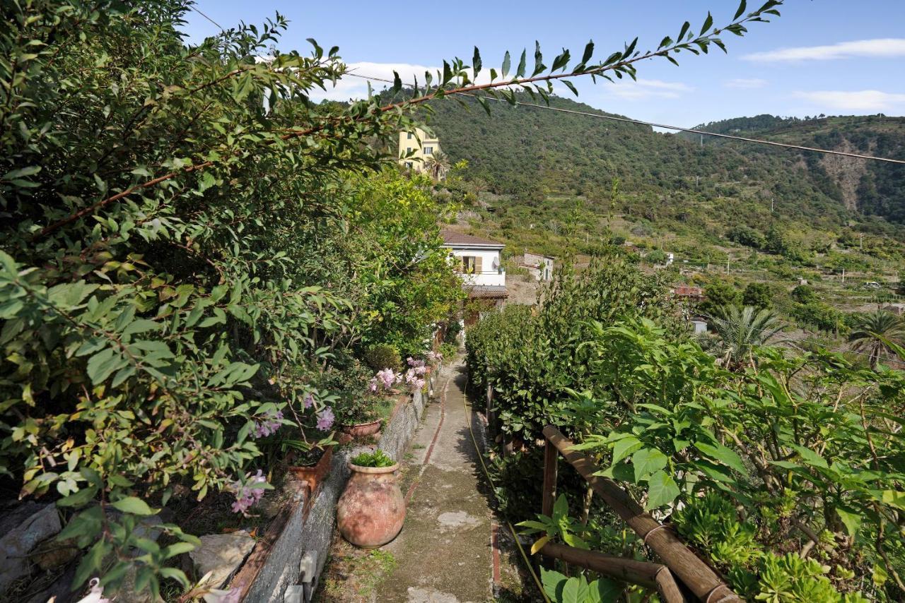 Villa Lardarina كورنيجليا المظهر الخارجي الصورة